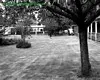 1988 Central Green Prior to Fete