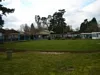 March 2010 New Turf is Layed 42